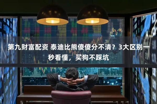 第九财富配资 泰迪比熊傻傻分不清？3大区别一秒看懂，买狗不踩坑