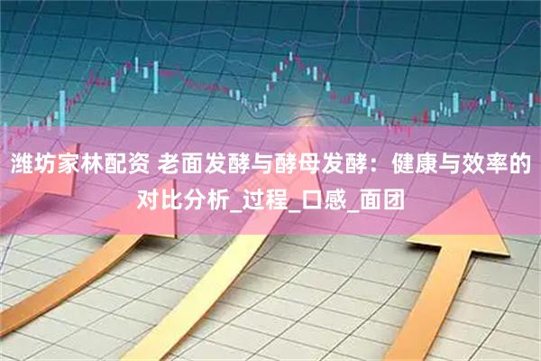 潍坊家林配资 老面发酵与酵母发酵：健康与效率的对比分析_过程_口感_面团